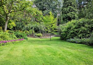 Optimiser l'expérience du jardin à Gouy-en-Artois